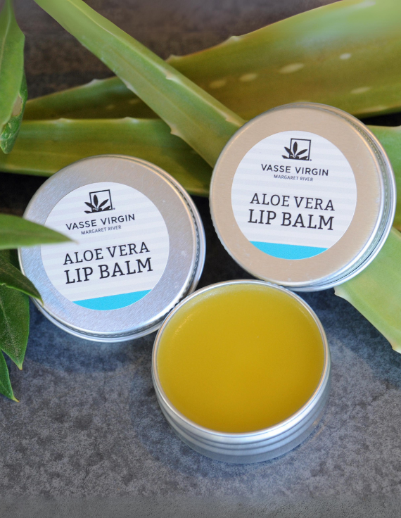 aloe vera plant on lips Aloe Vera & Seaweed Lip Repair Balm Pot – Vasse Virgin